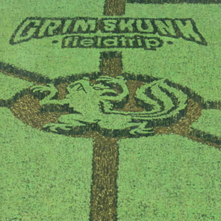 GrimSkunk - Fieldtrip
